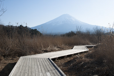 河口湖林間学園裏手より望む富士山