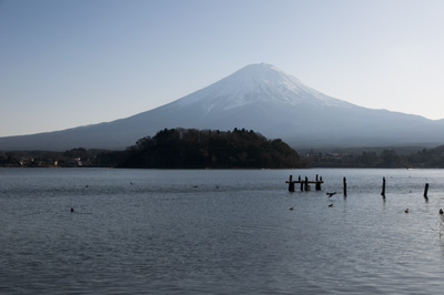 富士山と鳥のサンクチュアリ