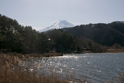 谷崎潤一郎文学碑近くから見えた富士山