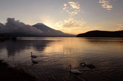 夕刻の富士山と山中湖と白鳥