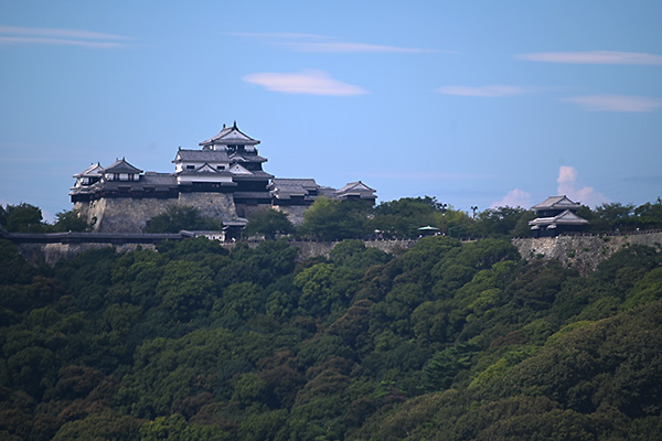観覧車から望む松山城