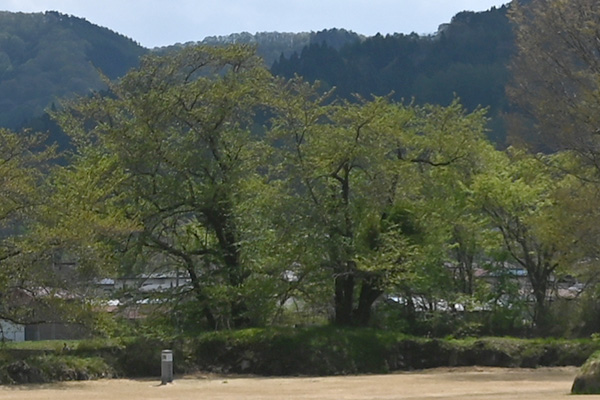 九戸城本丸の隅櫓跡