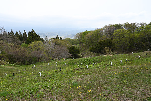 夷王山墳墓群