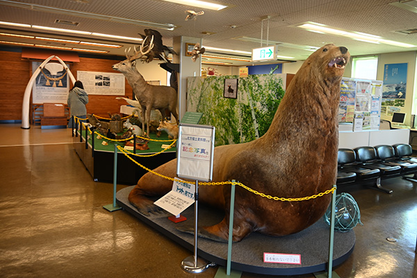 根室市北方領土資料館の展示