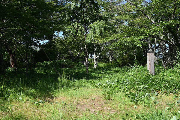 三春城本丸上段の大広間跡