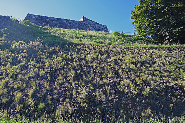 雑草に覆われた二本松城の大石垣