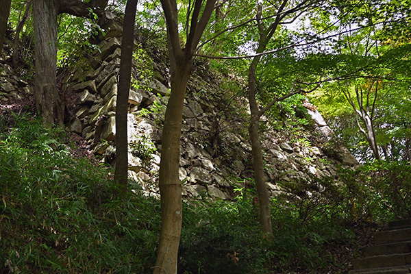 八幡山城の石垣