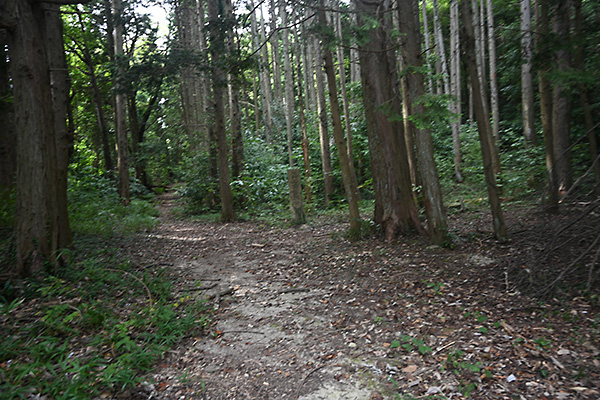 観音寺城伝平井丸