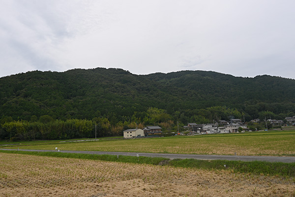 観音寺城が建つ繖山