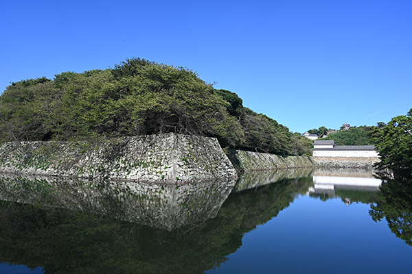 彦根城の堀と天守