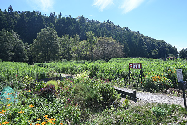 戦国歴史資料館そばの小谷城追手道入り口