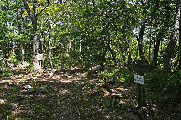 小谷城の山王丸