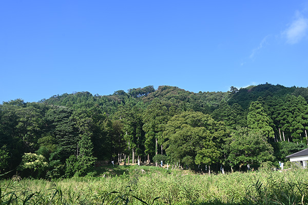 佐柿国吉城が建つ城山