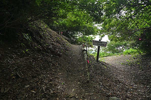 福井側からの道と滋賀側の道の合流点