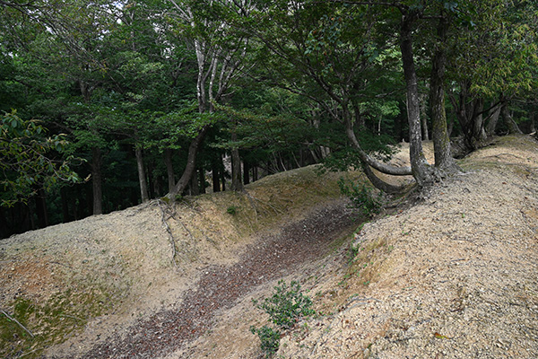 玄蕃尾城の空堀