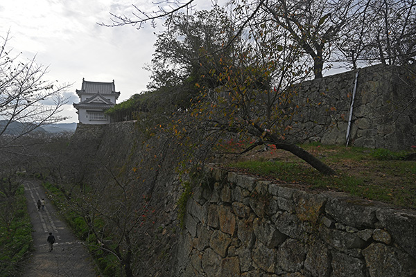津山城の本丸虎口から望む石垣と備中櫓