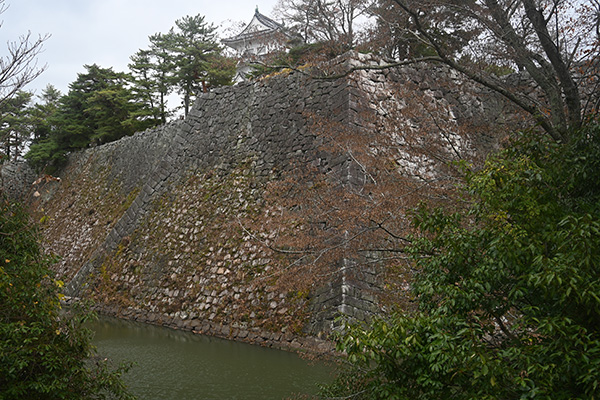 伊賀上野城