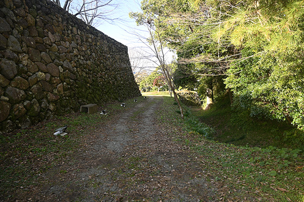 田丸城本丸の石垣と空堀
