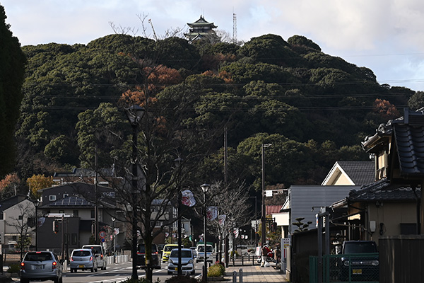 「シンボルロード」から見る小牧山城