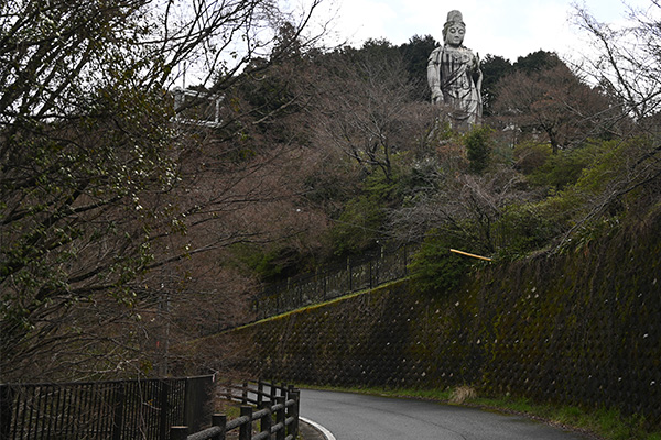 壷阪寺の天竺渡来大観音石像