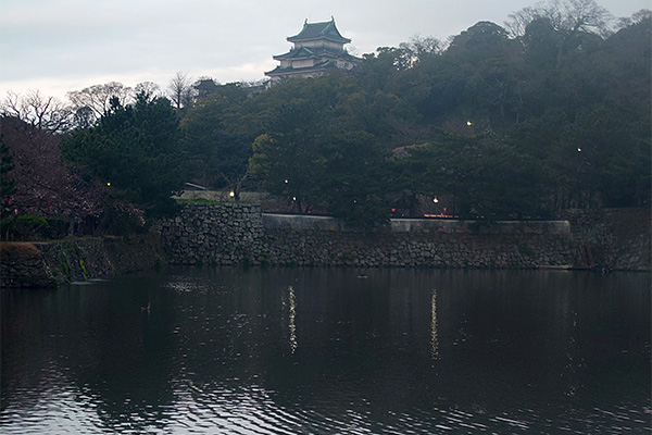 南東隅から見る和歌山城