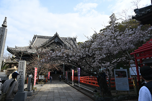 紀三井寺