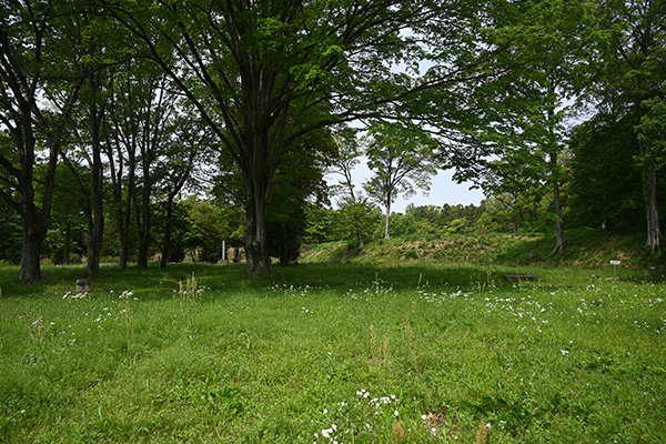 菅谷館の本郭