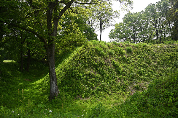 菅谷館本郭外から見る土塁と空堀