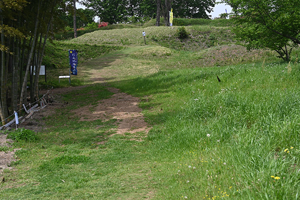 大手口跡から望む杉山城