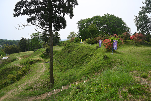 杉山城本郭跡と下に続く郭