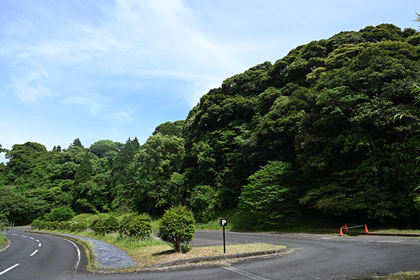 知覧城を頂く山