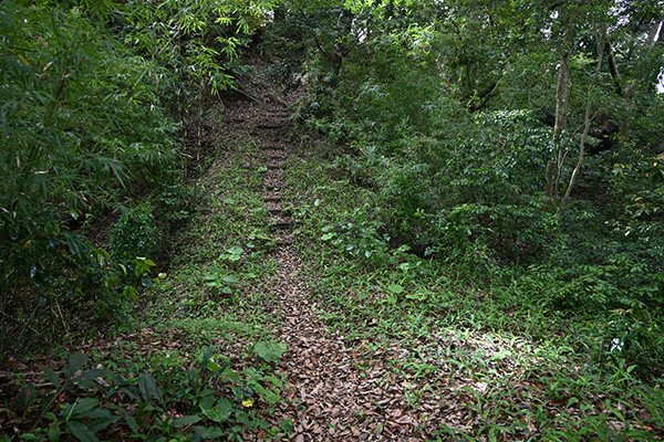 志布志城松尾城の登山道