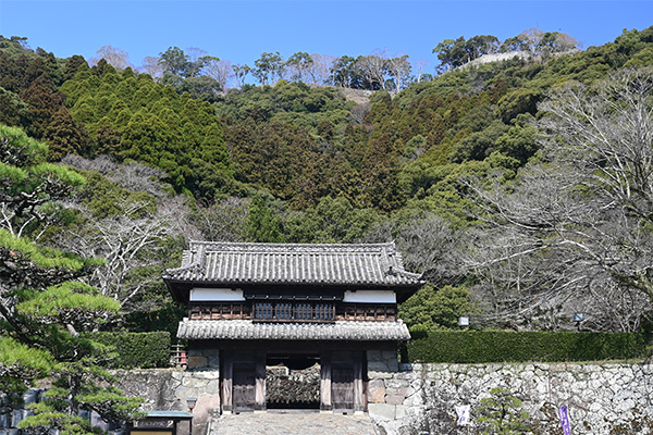 佐伯城