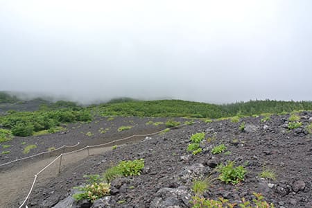 須走ルート　森林限界超え