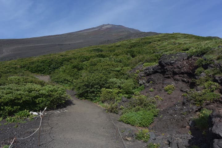 富士山の写真