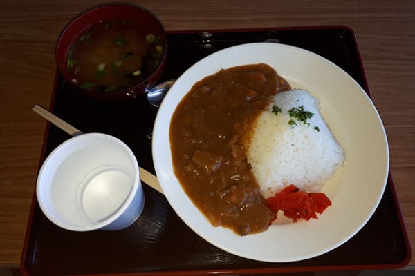 夕食の富士山カレー