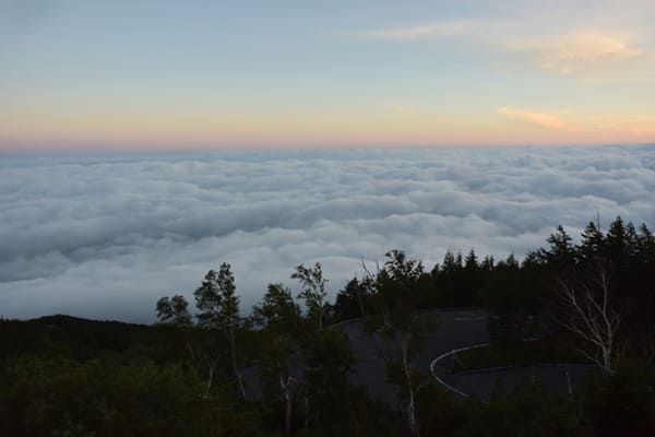 夕陽に染まる富士山の雲海