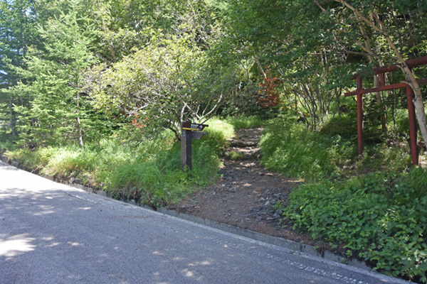 一旦舗装道路に出て、再び登山道へ