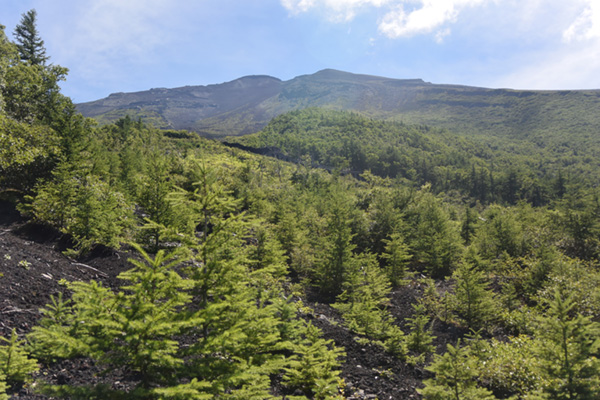 5合5勺「経ヶ岳」から、富士山が見えた