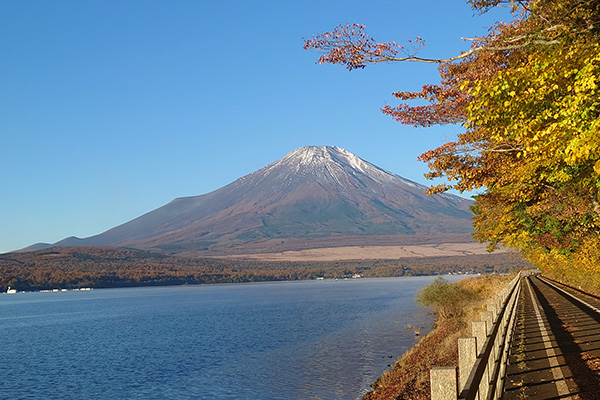 富士山と山中湖と紅葉
