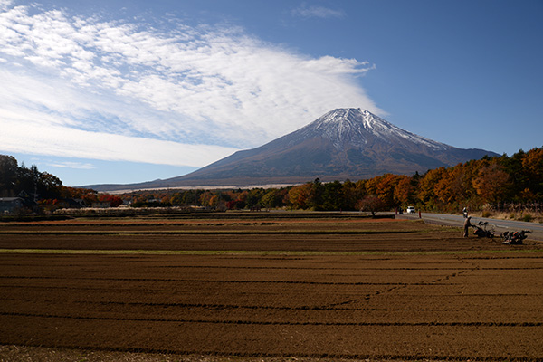 花の都公園