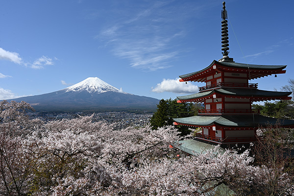 富士山と五重塔と桜