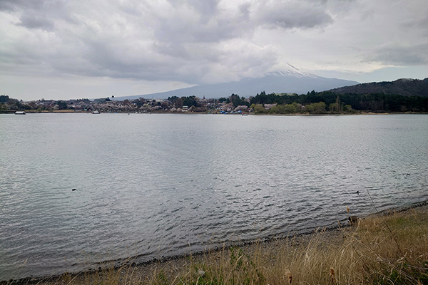 河口湖と富士山