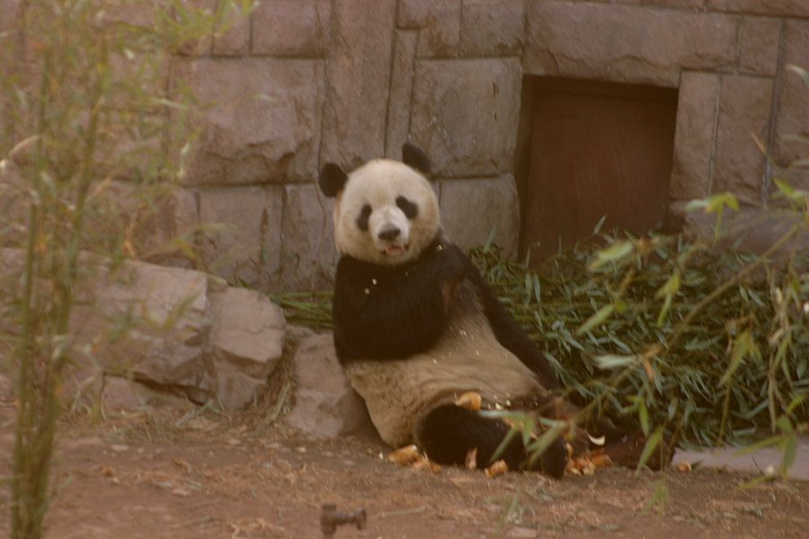 北京動物園