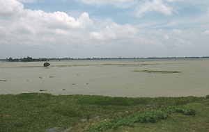 広大な水場