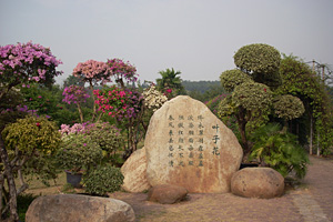 葉子花園