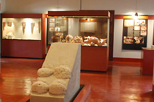 アントニーニ博物館