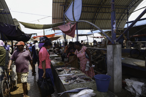 ネゴンボの魚市場