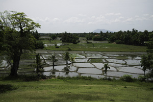 ポロンナルワの田園風景