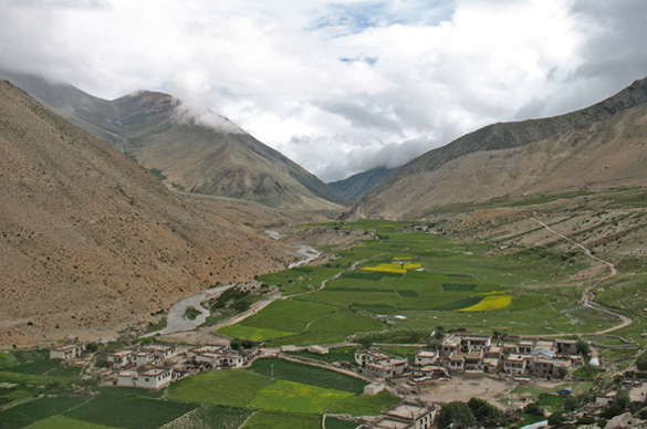 南チベットの谷あいの田園